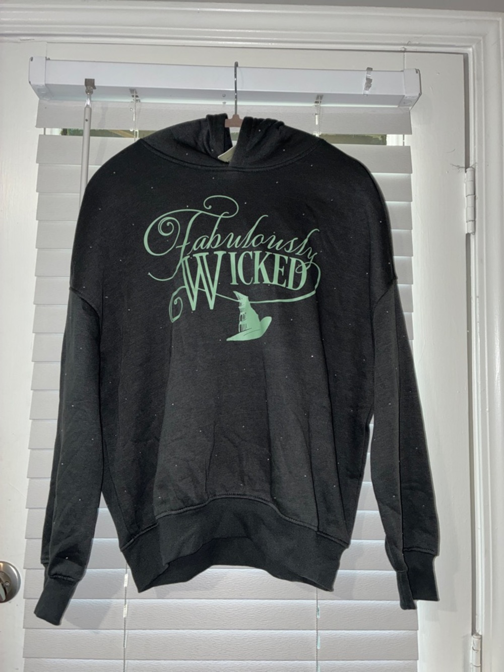 Black Hoodie Sweatshirt with Mint Green "Fabulously Wicked" Graphic